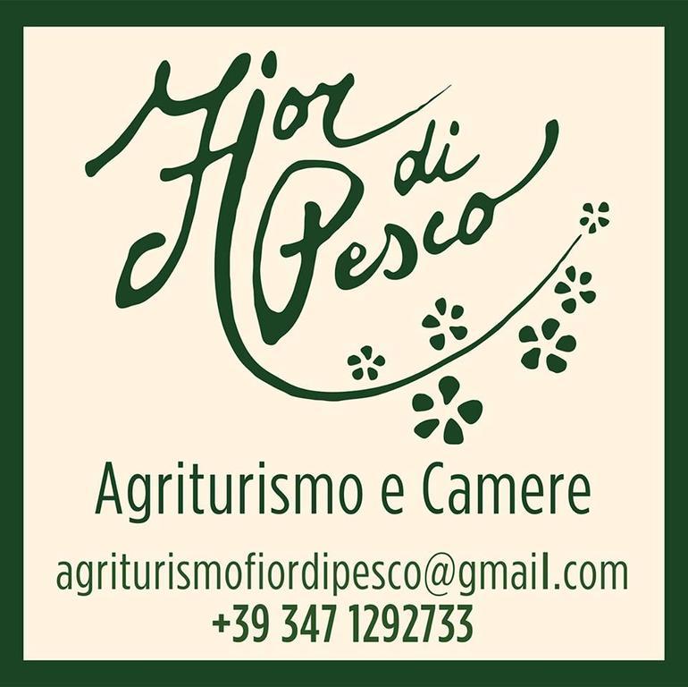 Agriturismo Fior Di Pesco Hotel Сомакампаня Екстериор снимка